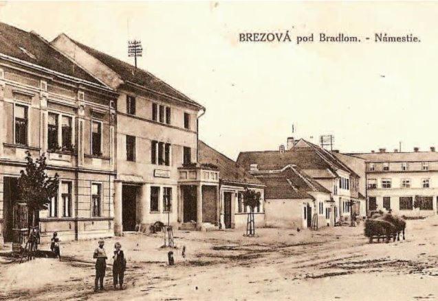 Penzion Tvarozek *** Brezová pod Bradlom Екстериор снимка